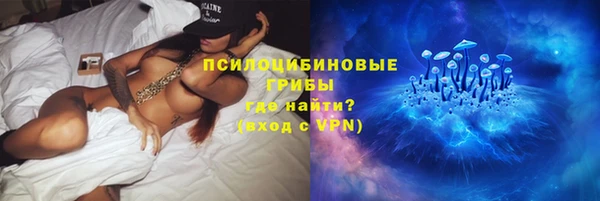 стафф Алексеевка