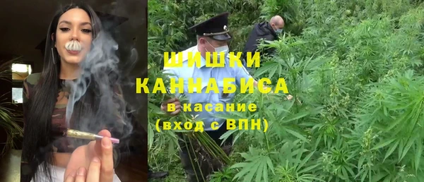шишки Покачи