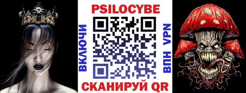 где купить   OMG   Псилоцибиновые грибы Cubensis  Ивангород 